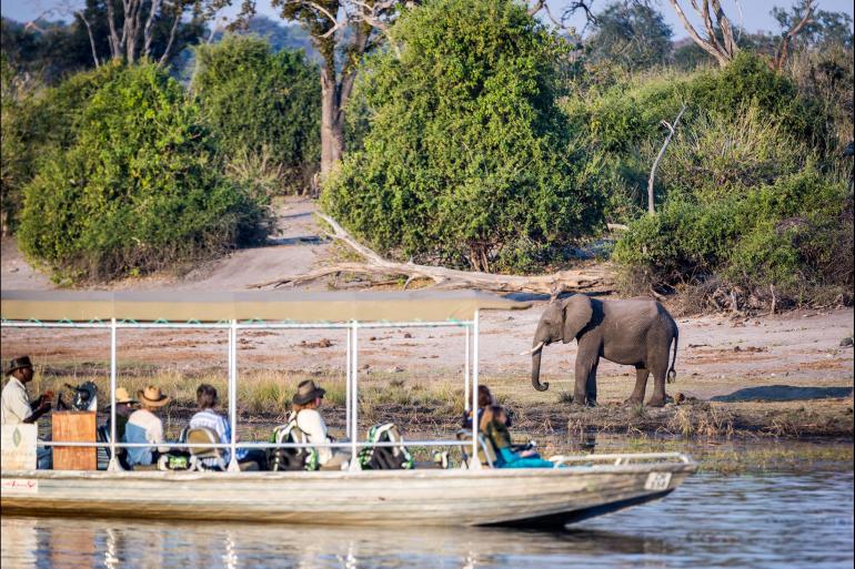 Nature & Wildlife Wildlife viewing Botswana Family Safari with Teenagers package