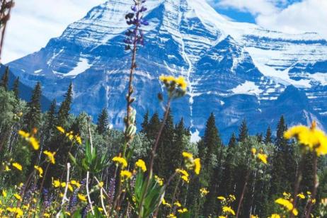 Canada's Rockies with Calgary Stampede Option
