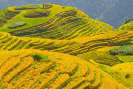 China: Hike, Bike, Kayak & Kung Fu tour