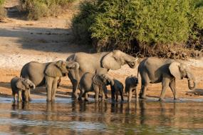 On Safari in Southern Africa by Private Air