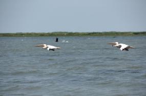 North Sea- Black Sea Cruise - Westbound