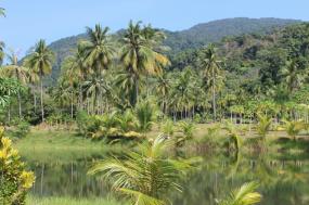Discover Brazil: Rio de Janeiro to the Amazon Rainforest