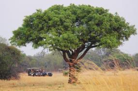 Ultimate Africa: Botswana, Zambia & Zimbabwe Safari