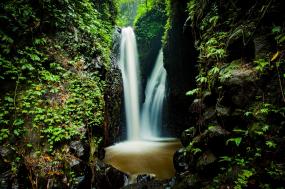 Amazon River Cruises
