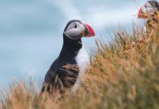 Iceland Discovery tour