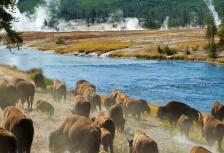 Rockies, Yellowstone & Mt Rushmore tour