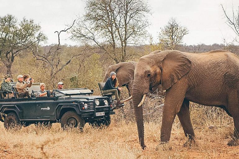 Learn to be a Safari Guide in Kruger National Park - Detour Mini Adventure(Twin Share Room,Start Johannesburg, End Johannesburg) tour