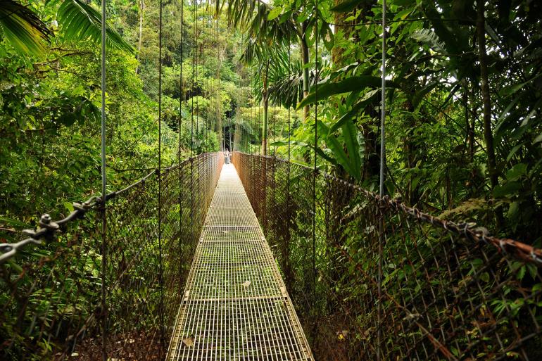 Nature & Wildlife Nature Pura Vida Costa Rica - Premium Adventure package