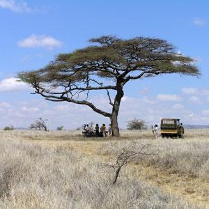 Kenya: A Classic Safari tour