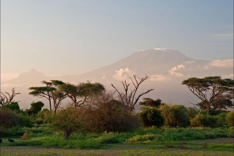 National Parks Wildlife viewing Serengeti & Kilimanjaro package