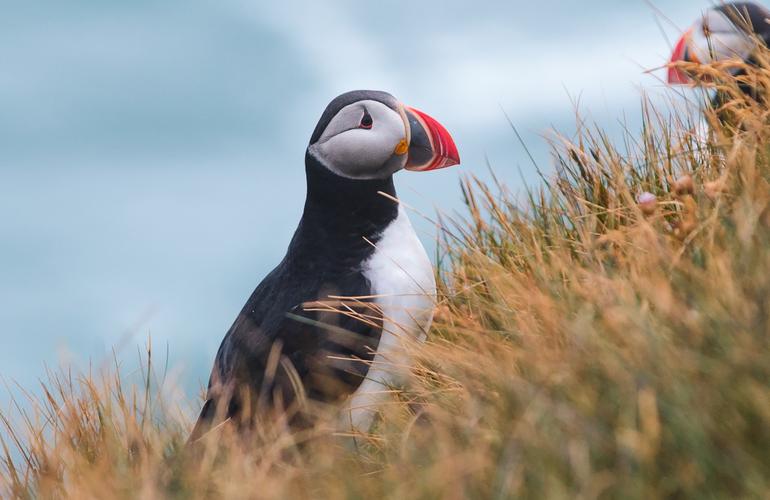Iceland Discovery tour