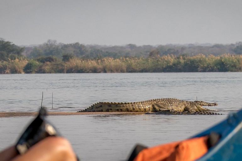 Nature & Wildlife Nature RCGS: The Zambezi Valley with Travis Steffens package