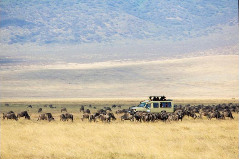 Nairobi Queen Elizabeth National Park Africa Encompassed Southbound Trip