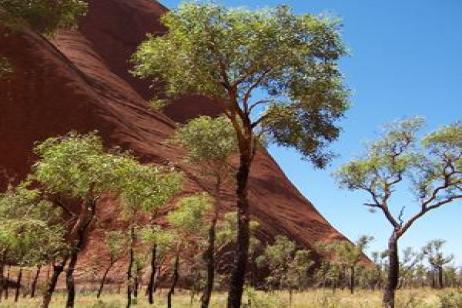 Down Under Discovery with Fiji