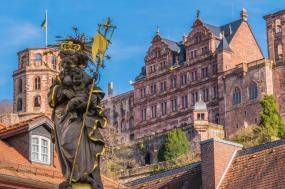 Radiant Rhine Cruise