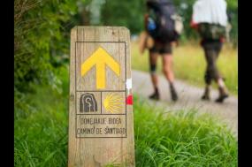 10 Best Camino de Santiago Tour Companies & Reviews | 2021-2022