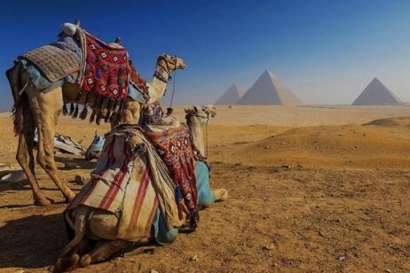 Pyramids, Mummies and Temples
