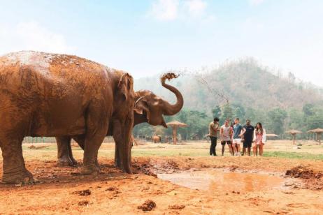 Northern Thai Highlights