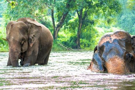 Explore Northern Thailand