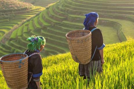 Thailand Hilltribe Trek