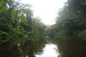 Costa Rica Wonders with Tortuguero