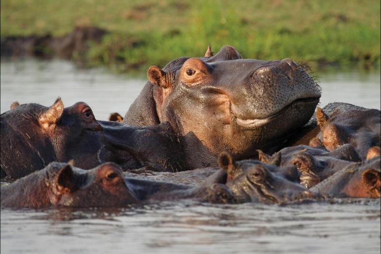 Johannesburg Kalahari Desert Experience Southern Africa Trip