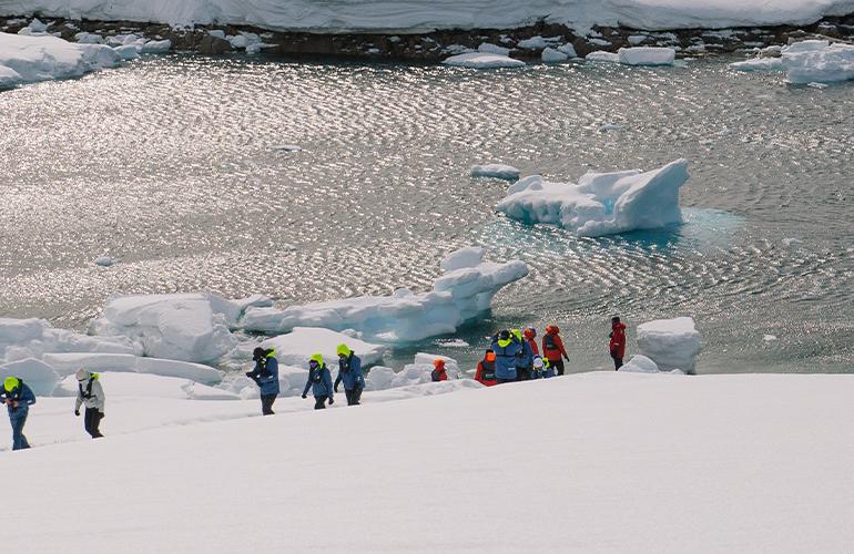Shackleton's Falklands, South Georgia and Antarctica Expedition (Ocean Endeavour)  tour
