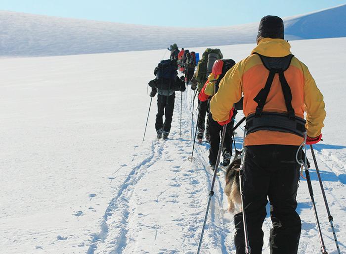 Nature & Wildlife Wildlife viewing Spitsbergen, East Greenland and Iceland - Southbound package