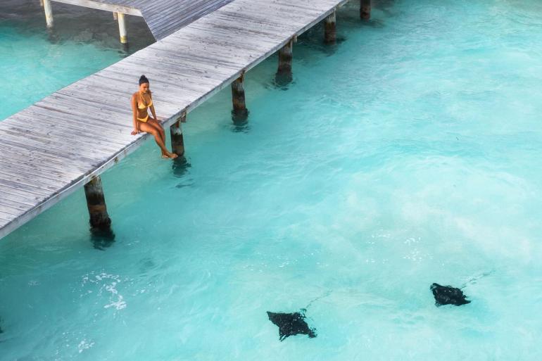 Caribbean Encounter (Until Feb 2021)(Twin Room,Start Cancun, End Antigua) tour