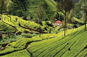 Sri Lanka: Hike, Bike & Kayak