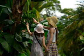 Monkeys, Jungles and Volcanoes