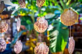 Playa del Carmen: All-Inclusive Hotel Riu Tequila