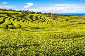 Highlights of Spain and Portugal with Azores