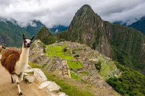Ecuador, It’s Galapagos Islands And Peru 11 days