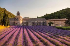 Ultimate Southern France (Paris, Small Groups, 2023 2024)