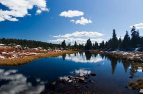 Montana Explorer with Yellowstone