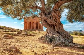 Highlights of Sicily