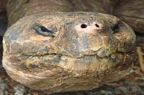 Ultimate South America with Galapagos Cruise
