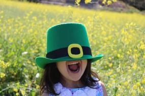 Shamrocks and Leprechauns