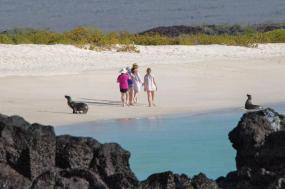 Galapagos: Wildlife Wonderland 2025