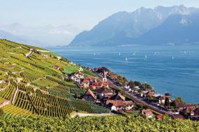 Rhine Connoisseur: Montreux to Brussels - Northbound 2024