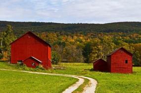 10 Day Classic New England Fall Foliage