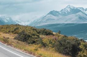 New Zealand’s South Island in Depth