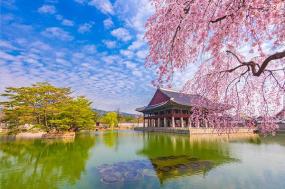 Tailor Made South Korea: Culture & Cuisine