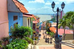 Ecuadorian Chocolate Experience: Quito, Mindo & Guayaquil