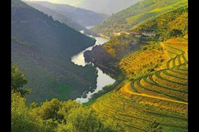 Country Roads of Portugal (Small Groups, Winter)