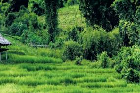 Best of Thailand & Malaysia