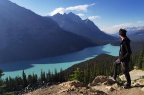 Discover the Canadian Rockies: Banff to Jasper