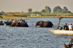 Wilderness of Southern Africa: Safari by Land & Water - 2024