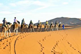 Colors of Morocco - 2022